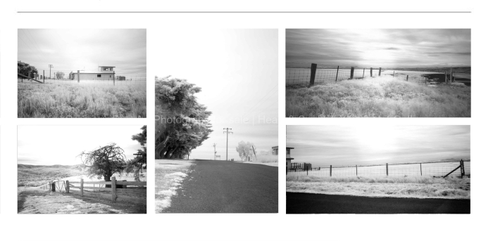 INFRARED-Farmland-at-Erica-Moe-VIC-BLACK-AND-WHITE-FINE-ART-PHOTOGRAPHS-FOR-SALE