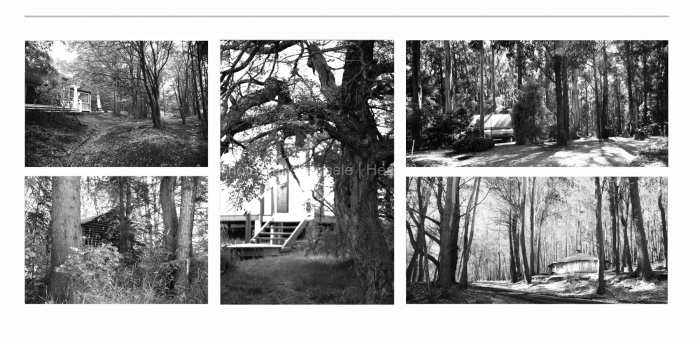 LANDSCAPE-CABIN-IN-THE-WOOD-BLACK-AND-WHITE-FINE-ART-PHOTOGRAPHS-FOR-SALE