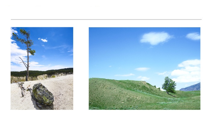 LANDSCAPE-PHOTOGRAPHS-28