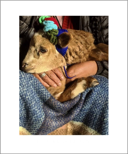 People-Photographs-and-Street-photography-Photos-For-Sale-25