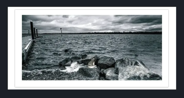 20.28-2.-30-WATERSCAPES-JETTY-FORESHORE-Black-and-White-Photo-L1017604-Tooradin-2015