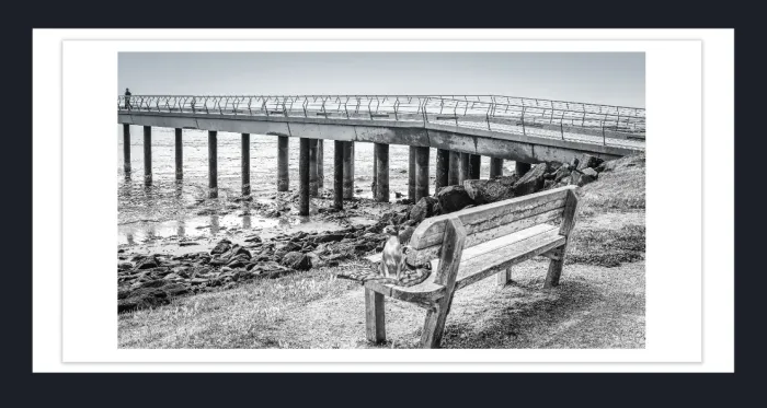 20.28-2.-43-WATERSCAPES-JETTY-FORESHORE-Black-and-White-Photo-Lorne-13-2015