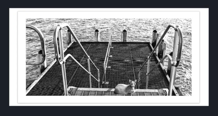 20.28-2.-51-WATERSCAPES-JETTY-FORESHORE-Black-and-White-Photo-L1031139-Port-Campbell-2015