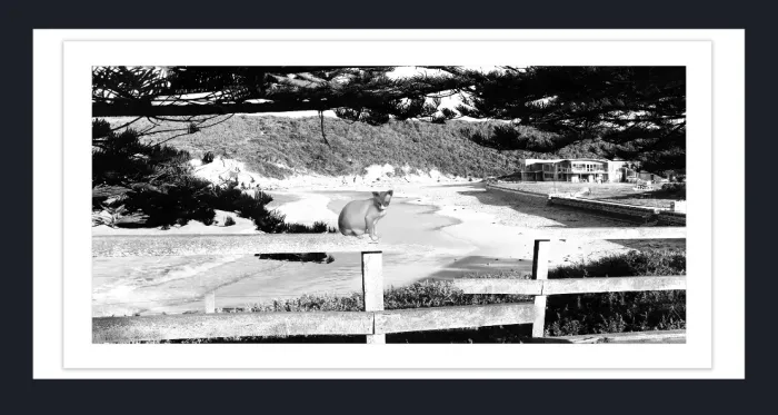 20.28-3.-14-WATERSCAPES-LAKE-HOUSE-Black-and-White-Photo-L1031115-17-Point-Campbell-2015