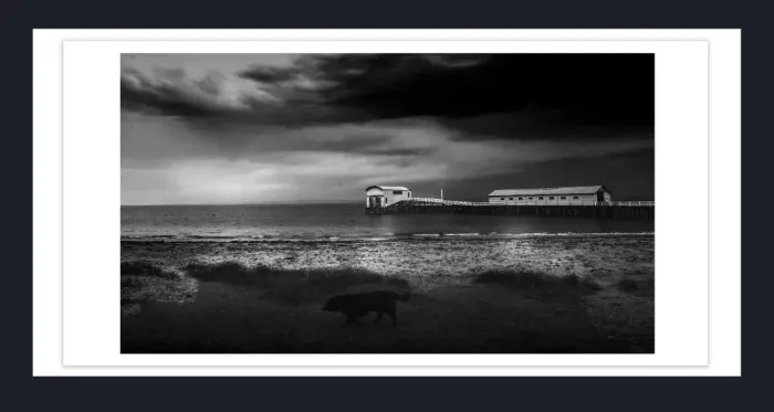 28-1-21-BOAT-HOUSE-PHOTOGRAPHY-Black-and-White-Photo-QPH-59-61-Queenscliff-Pier-Port-Phillip-2015