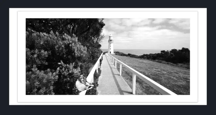 20.28-4.-11-WATERSCAPES-LIGHT-HOUSE-Black-and-White-Photo-L1031046-Cape-Otways-VIC-2015