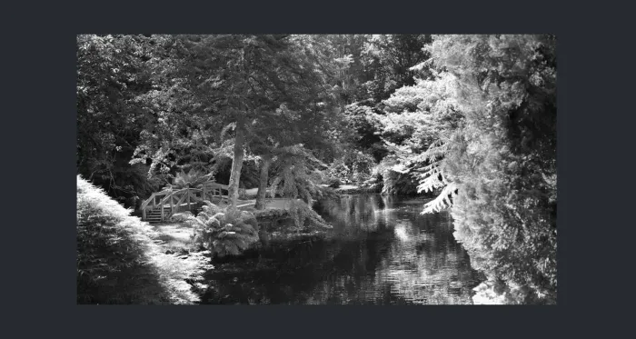5.6.1-MIX-INFRARED-PHOTOS-PANO-LANDSCAPE-Black-and-White-Victoria-L1017898-00-2019