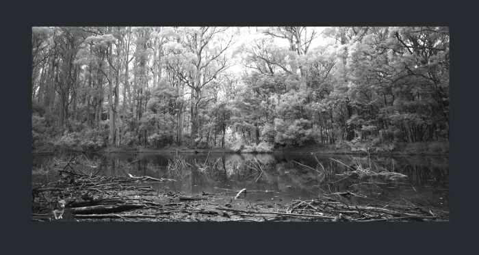 5.6.2-MIX-INFRARED-PHOTOS-PANO-LANDSCAPE-Black-and-White-Sanatorium-lake-Victoria-L1018061-63-2019