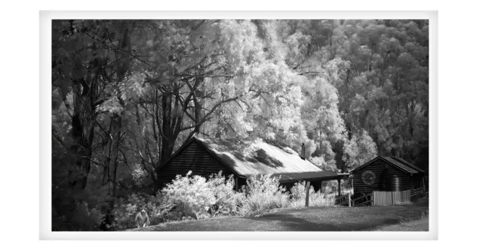 5.7.12A-MYSTICAL-INFRARED-Black-and-White-Photos-L1017479-Coal-Creek-Korumbura-2019