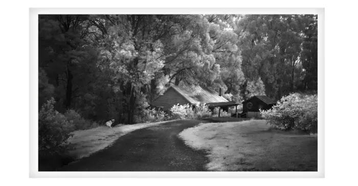 5.7.12B-MYSTICAL-INFRARED-Black-and-White-Photos-L1017482-Coal-Creek-Korumbura-2019