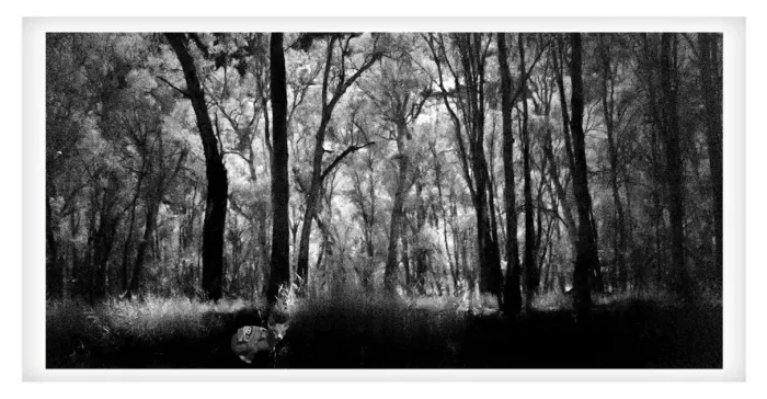 5.7.17-MYSTICAL-INFRARED-Black-and-White-Photos-L1017850-Murray-River-Echuca-2019