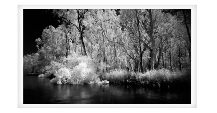 5.7.19-MYSTICAL-INFRARED-Black-and-White-Photos-L1017852-Murray-River-Echuca-2019