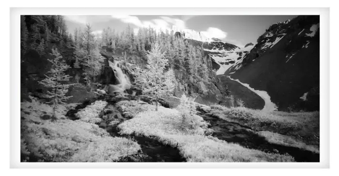 5.7.2-MYSTICAL-INFRARED-Black-and-White-Photos-L1002805-Canada-2016