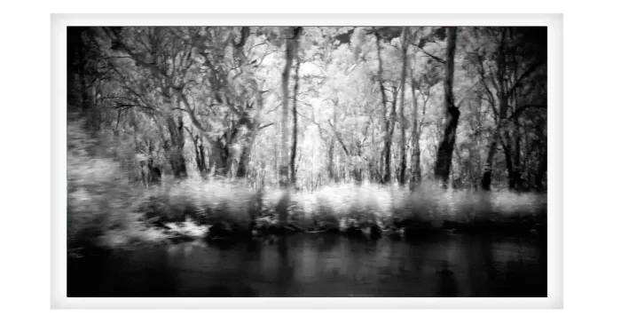 5.7.20-MYSTICAL-INFRARED-Black-and-White-Photos-L1017853-Murray-River-Echuca-2019