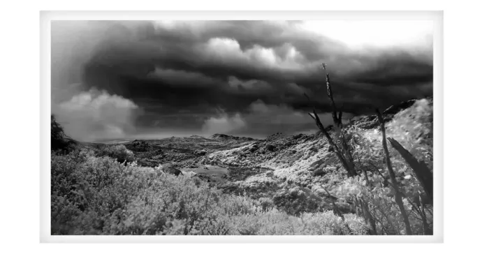 5.7.24-MYSTICAL-INFRARED-Black-and-White-Photos-L1030489-The-Catherdral-Mt.-Buffalo-2015