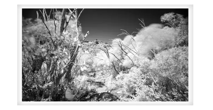 5.7.25-MYSTICAL-INFRARED-Black-and-White-Photos-L1030490-The-Catherdral-Mt.-Buffalo-2015
