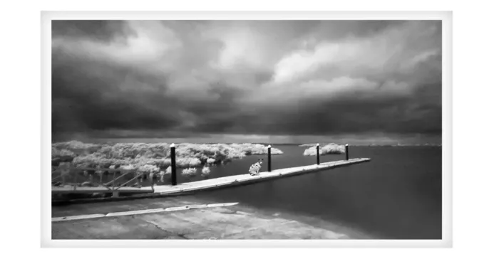 5.7.27-MYSTICAL-INFRARED-Black-and-White-Photos-L1017590-Tooradin-2019