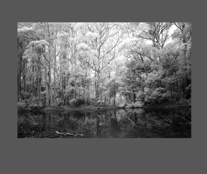 5.5.16-INFRARED-PHOTOS-WATERSCAPES-Black-and-White-Sanatorium-Lake-Macedon-Victoria-Australia-L1018097-2019