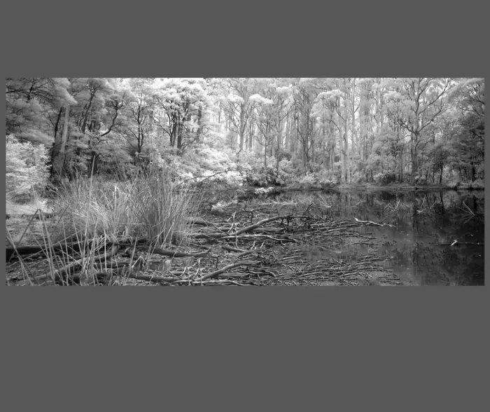 5.5.17-INFRARED-PHOTOS-WATERSCAPES-Black-and-White-Sanatorium-Lake-Macedon-Victoria-Australia-L1018098-99-2019