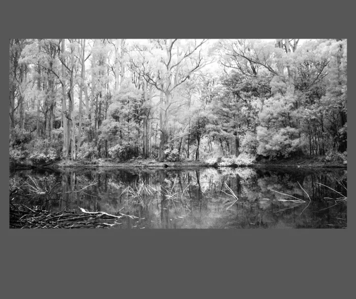 5.5.18A-INFRARED-PHOTOS-WATERSCAPES-Black-and-White-Sanatorium-Lake-Macedon-Victoria-Australia-L1018095-2019