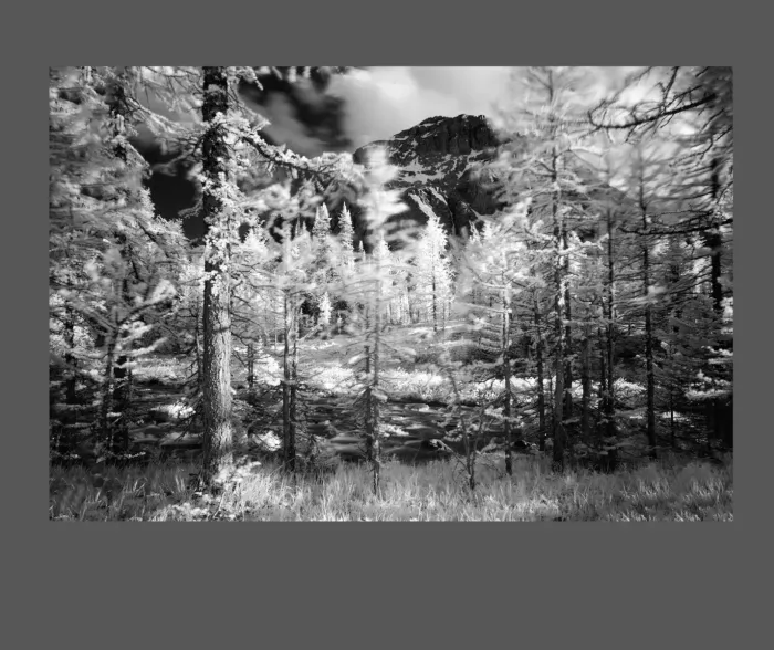 5.5.27-INFRARED-PHOTOS-WATERSCAPES-Black-and-White-Canada-L1002772-73-2016