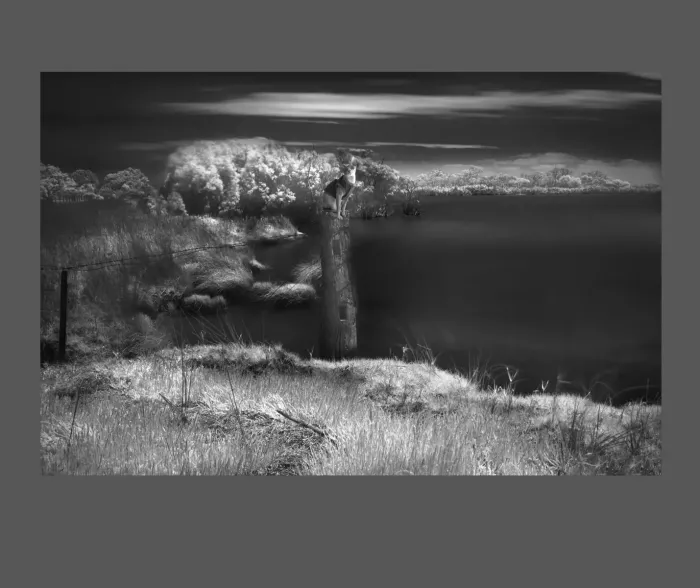 5.5.39-INFRARED-PHOTOS-WATERSCAPES-Black-and-White-Victoria-L1018146-2019