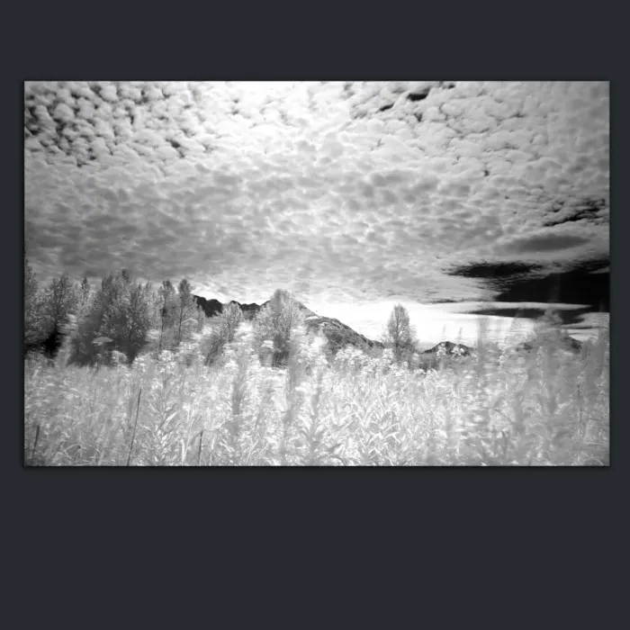 5.3.14-INFRARED-PHOTOS-LANDSCAPE-Black-and-White-Canada-L1003865-2016