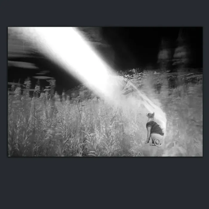 5.3.17-INFRARED-PHOTOS-LANDSCAPE-Black-and-White-Canada-L1003867-2016
