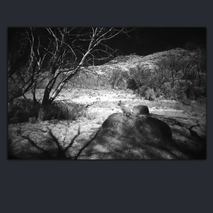 5.3.19-INFRARED-PHOTOS-LANDSCAPE-Black-and-White-Mt.-Buffalo-Victoria-L1030472-2015