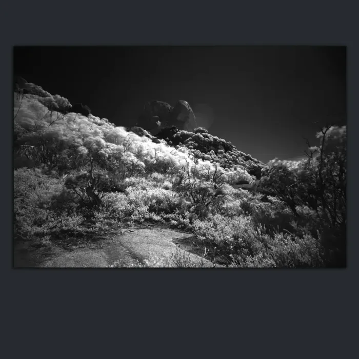5.3.1A-INFRARED-PHOTOS-LANDSCAPE-Black-and-White-Mount-Buffalo-Victoria-Australia-L1030486-2015