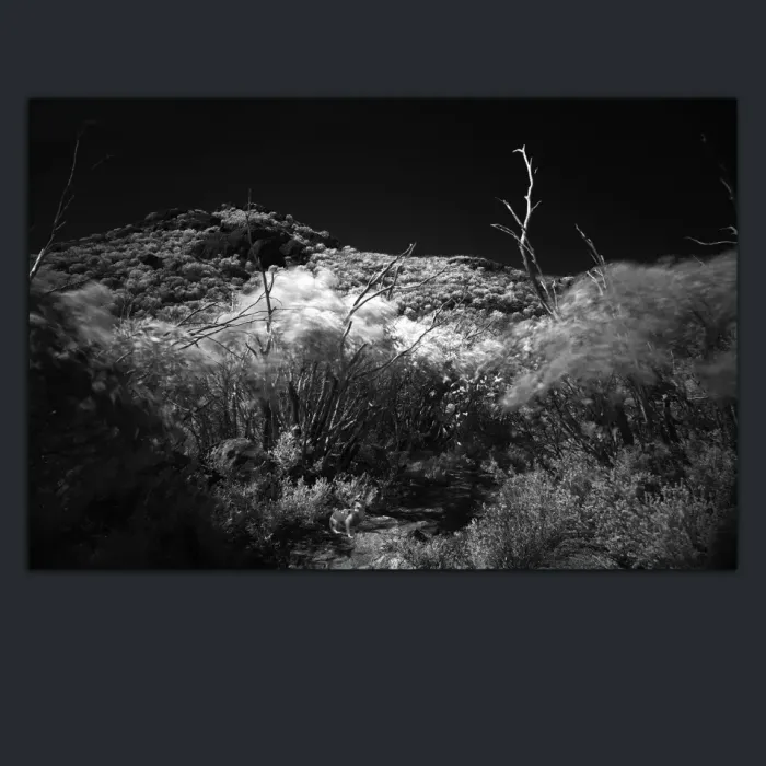 5.3.1B-INFRARED-PHOTOS-LANDSCAPE-Black-and-White-Mount-Buffalo-Victoria-Australia-L1030487-2015