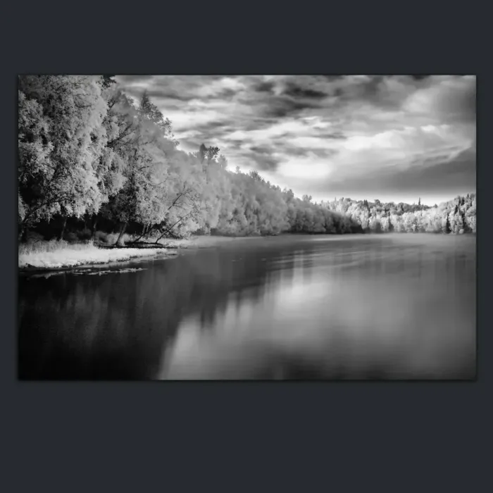 5.3.24-INFRARED-PHOTOS-LANDSCAPE-Black-and-White-Kincaid-Park-Alaska-L1004516-2016