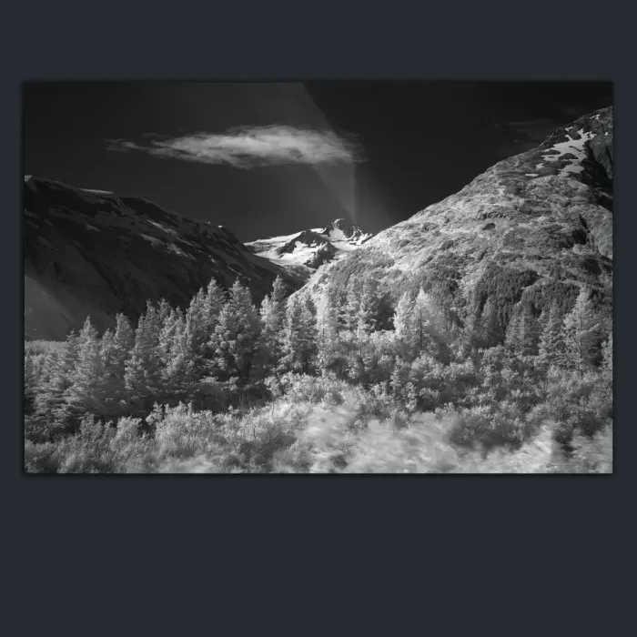 5.3.3-INFRARED-PHOTOS-LANDSCAPE-Black-and-White-Alaska-USA-L1003836-2016