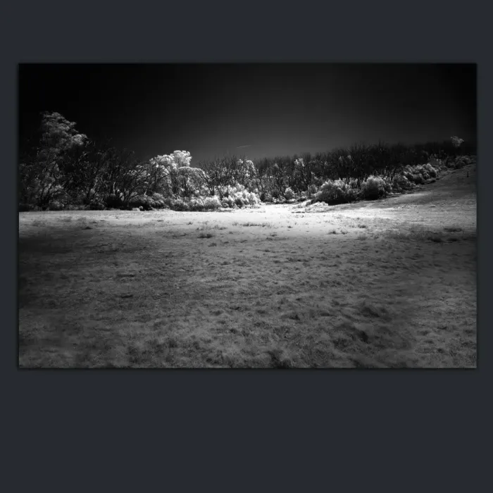 5.3.4-INFRARED-PHOTOS-LANDSCAPE-Black-and-White-Mount-Buffalo-Victoria-Australia-L1030465-2015