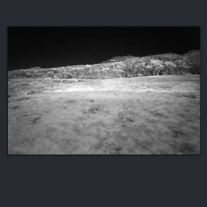 5.3.5-INFRARED-PHOTOS-LANDSCAPE-Black-and-White-Mount-Buffalo-Victoria-Australia-L1030468-2015