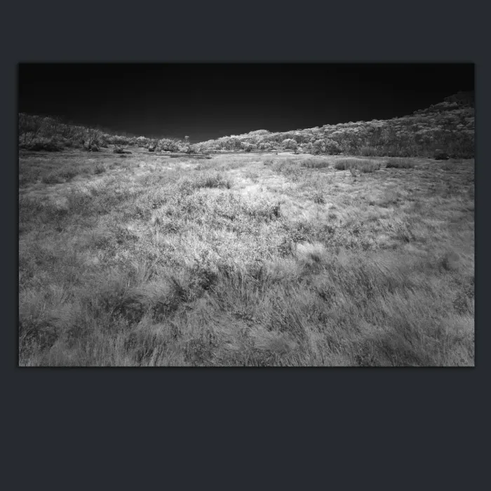 5.3.6-INFRARED-PHOTOS-LANDSCAPE-Black-and-White-Mount-Buffalo-Victoria-Australia-L1030469-2015