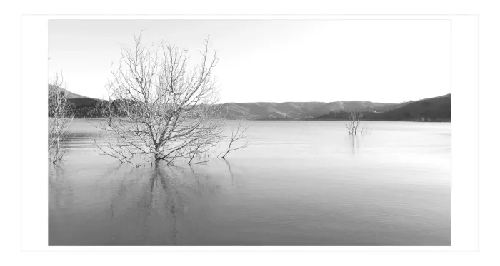 20.25-2-WATERSCAPES-Minimalism-Black-and-White-Photo-Eildon-Lake-Boonie-Doon-L1029581-2015