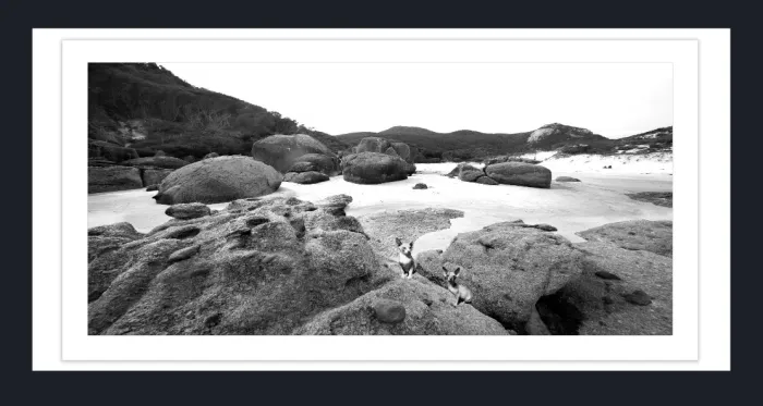 19.2.2-MINIMALISM-Landscape-Black-and-White-Photos-COASTAL-Squeeky-Beach-Wilson-Prom-L1028738-42-2015