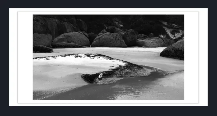 19.2.2A-MINIMALISM-Landscape-Black-and-White-Photos-COASTAL-Cape-Conran-L1028715-2019
