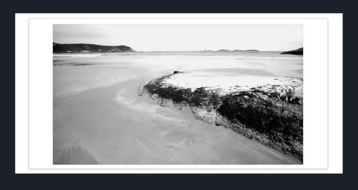 19.2.5-MINIMALISM-Landscape-Black-and-White-Photos-COASTAL-Squeeky-Beach-WP-L1028727-2015
