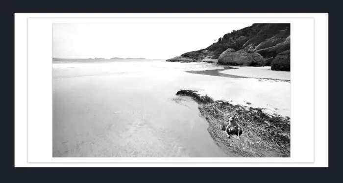 19.2.7-MINIMALISM-Landscape-Black-and-White-Photos-COASTAL-Squeeky-Beach-WP-L1028731-2015