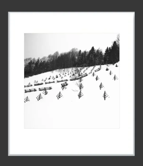1.6-7-1-MINIMALIST-MIXEDMK7-L1011232-Biei-Japan-2018