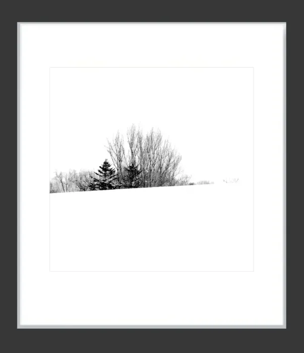 1.6-7-11-MINIMALIST-Black-and-White-Photos-MIXEDMK7-L1011378-Biei-Japan-2018