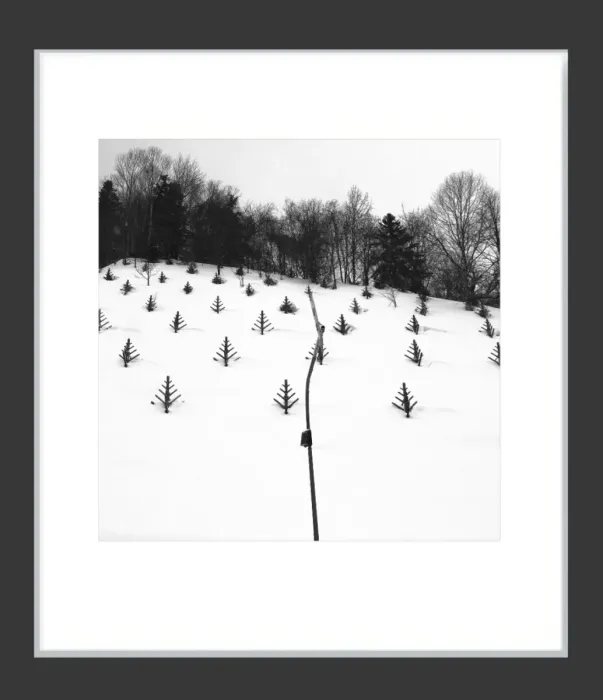 1.6-7-2-MINIMALIST-Black-and-White-Photos-MIXEDMK7-L1011231-Biei-Japan-2018