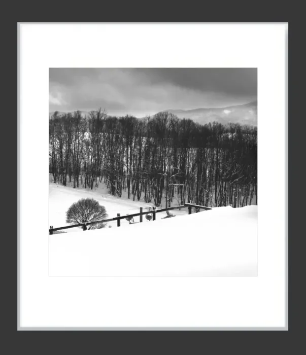 1.6-7-20-MINIMALIST-Black-and-White-Photos-MIXEDMK7-L1011400-Biei-Japan-2018