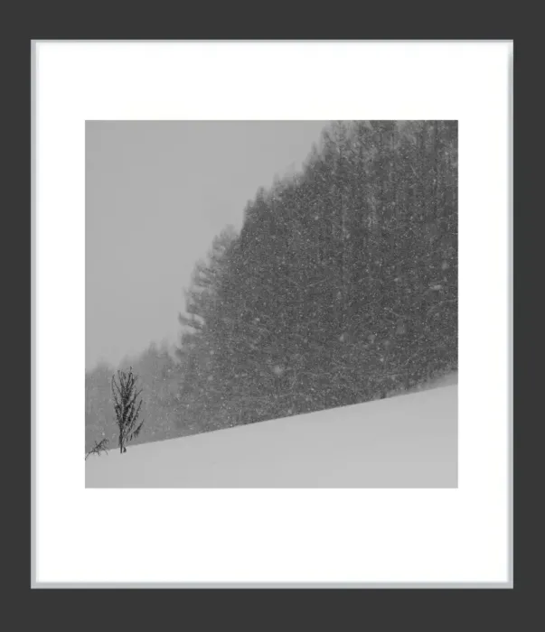 1.6-7-21-MINIMALIST-Black-and-White-Photos-MIXEDMK7-L1011415-Biei-Japan-2018