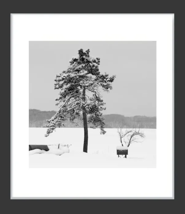 1.6-7-27-MINIMALIST-Black-and-White-Photos-MIXEDMK7-L1011540-Biei-Japan-2018