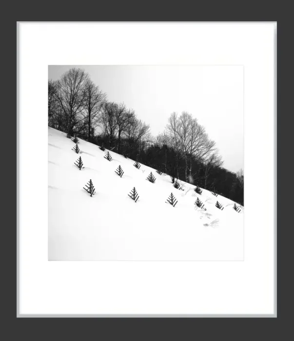 1.6-7-3-MINIMALIST-Black-and-White-Photos-MIXEDMK7-L1011233-Biei-Japan-2018