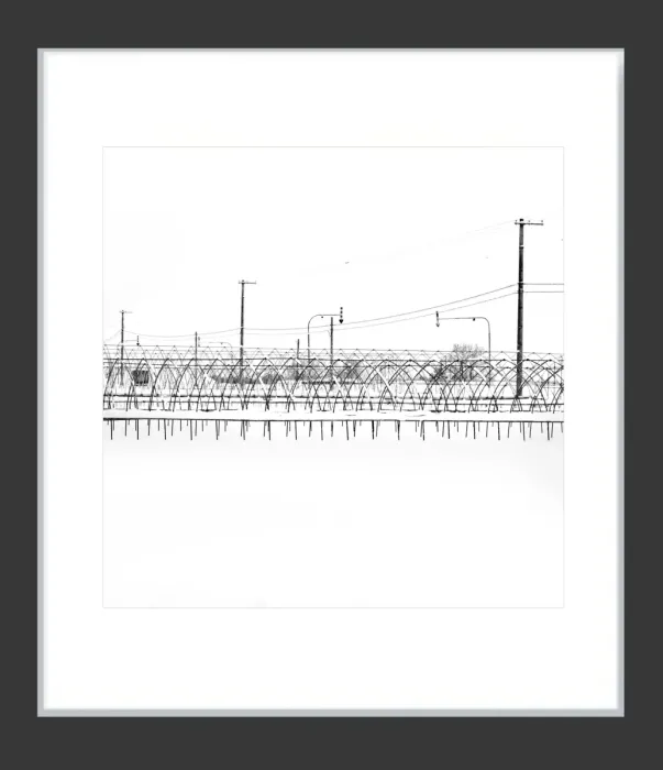 1.6-7-31-MINIMALIST-Black-and-White-Photos-MIXEDMK7-L1011549-Biei-Japan-2018