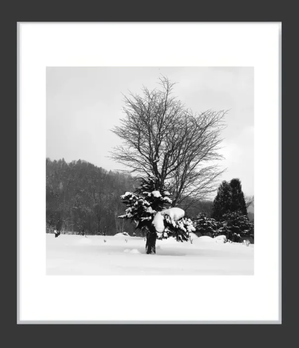 1.6-7-33-MINIMALIST-Black-and-White-Photos-MIXEDMK7-L1011218-Biei-Japan-2018